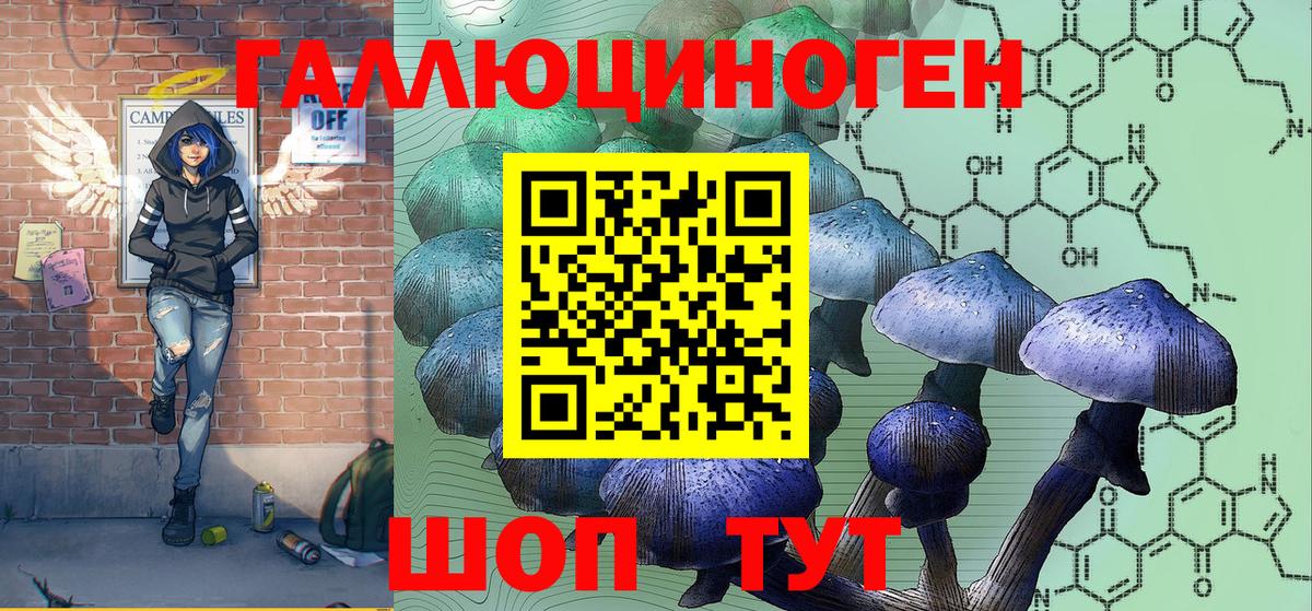 Мыски  Псилоцибиновые грибы GOLDEN TEACHER  Вход с VPN  Псилоцибиновые грибы мухоморы 