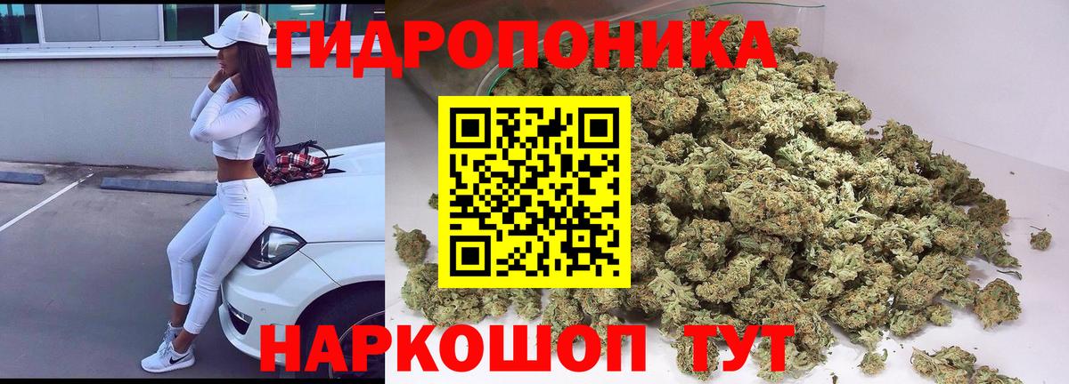 Шишки марихуана Amnesia Мыски